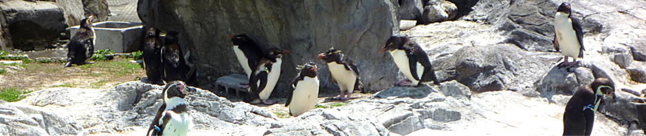 とりあえず、ビールで。