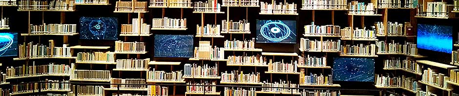 とりあえず、ビールで。