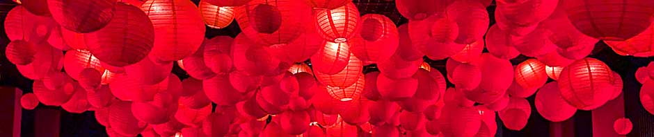 とりあえず、ビールで。