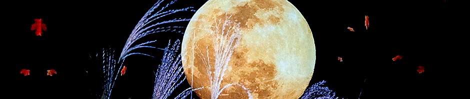 とりあえず、ビールで。