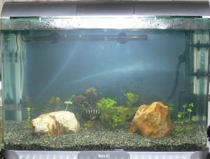 �U�O��������