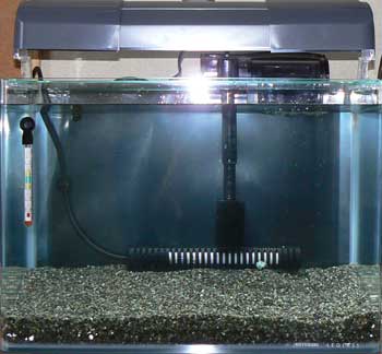 �S�T��������